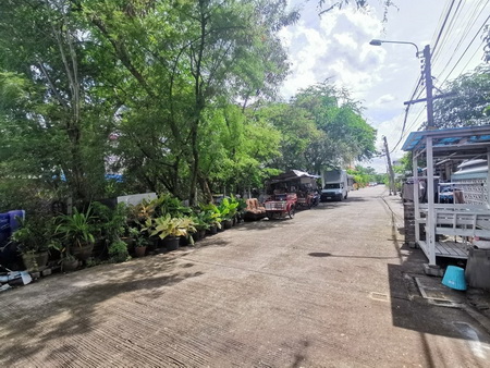 ให้เช่าที่ดิน ต.บางแก้ว อ.บางพลี ห่างจาก โลตัสบางนา 1.8 กม. เขตถนนกว้าง 5.2 ม. รูปที่ 4