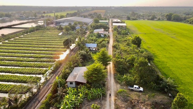 ด่วนสุดหลุดจอง 3 ล็อค โฉนดพร้อมโอน ที่ดินคลอง 9 หนองเสือ ปทุม 50 ตรว ติดถนนในซอยข้างซอยขุนดี รูปที่ 1