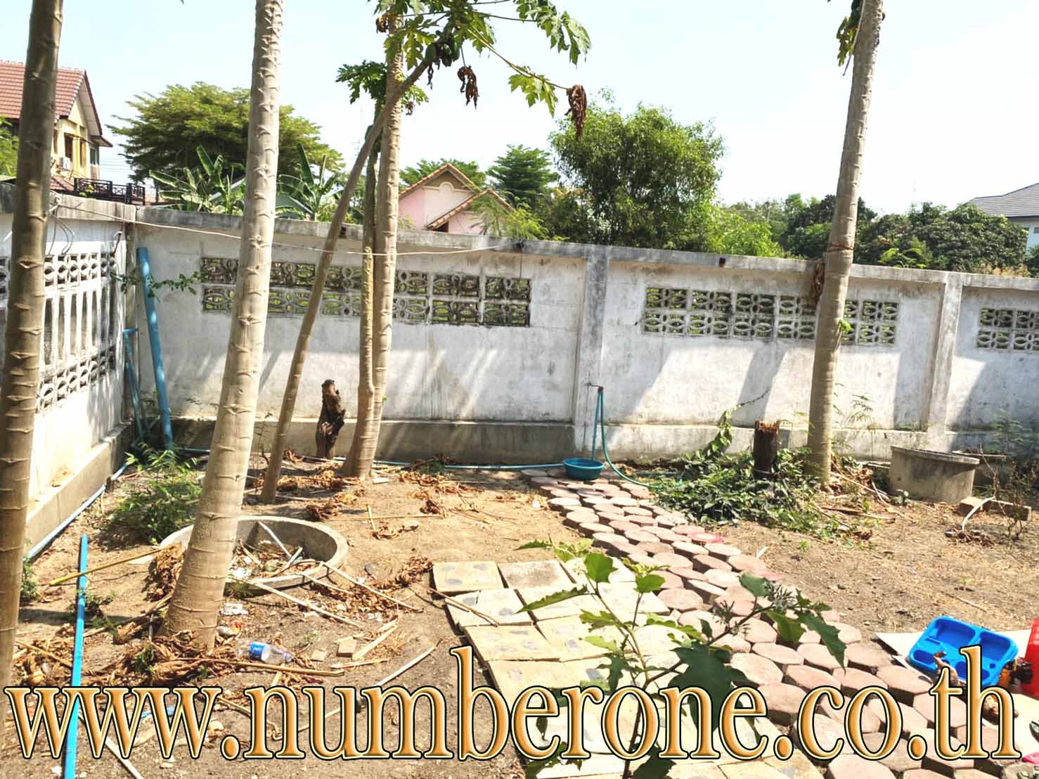 ขายบ้านเดี่ยวหลังริม หมู่บ้านเปรมประชาคันทรี่วิว ถนนเลียบคลองเปรมประชากร รูปที่ 3