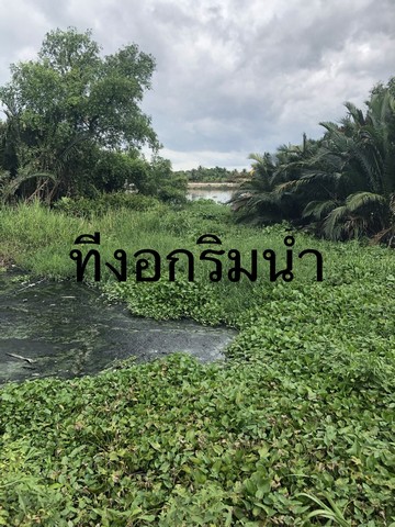 ขาย  ที่ดิน ติดแม่น้ำท่าจีน ฝั่งแหลมดินงอก  กระทุ่มแบน สมุทรสาคร (เจ้าของขายเอง) รูปที่ 1