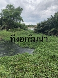 ขาย  ที่ดิน ติดแม่น้ำท่าจีน ฝั่งแหลมดินงอก  กระทุ่มแบน สมุทรสาคร (เจ้าของขายเอง)