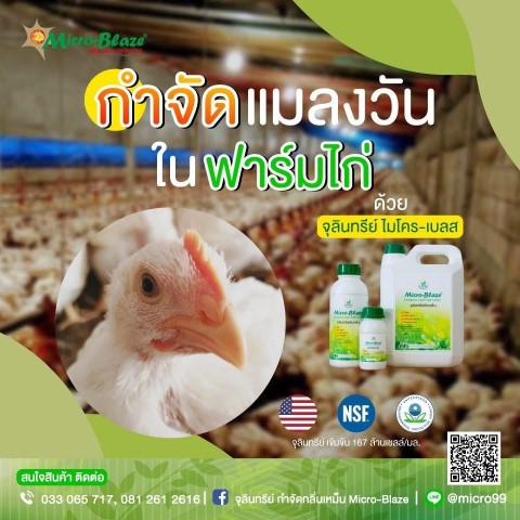 กำจัดกลิ่นเหม็นในฟาร์มเลี้ยงสัตว์ และในโรงงานอุตสาหกรรม ภายใน 24 ชั่วโมง ไม่ใช้สารเคมี ไร้สารตกค้าง  รูปที่ 4