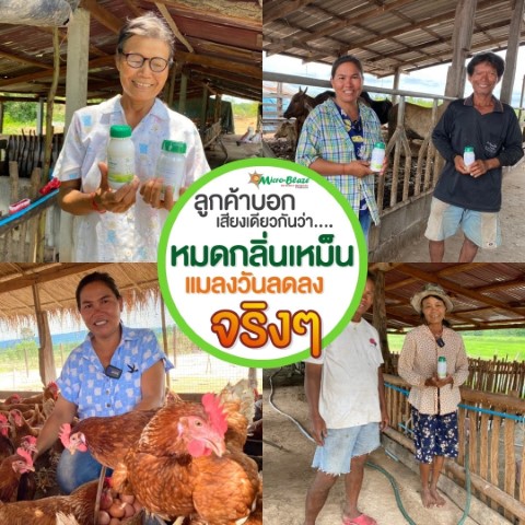 กำจัดกลิ่นเหม็นในฟาร์มเลี้ยงสัตว์ และในโรงงานอุตสาหกรรม ภายใน 24 ชั่วโมง ไม่ใช้สารเคมี ไร้สารตกค้าง  รูปที่ 7
