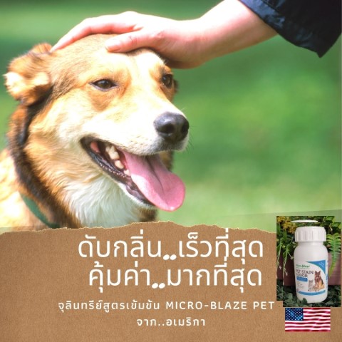ดับกลิ่นตัวและกลิ่นฉี่สำหรับสุนัขและแมว ภายในบ้านได้ทันที บ้านกลับมาหอมตั้งแต่ครั้งแรกที่ใช้ รูปที่ 7