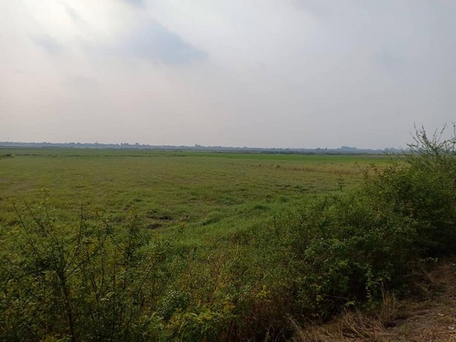 ทำเลดีวิวงาม ติดถนนคอนกรีต ถนนดำ  ตำบล อำเภอ มหาราช จ.อยุธยา รูปที่ 1