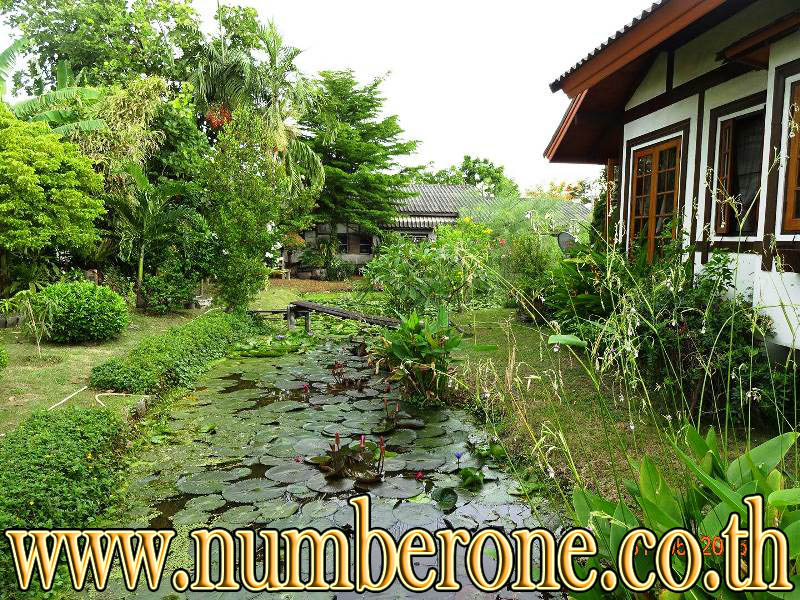 ขายด่วนบ้านเดี่ยวสไตล์คันทรี่ อยู่ในซอยสุวินทวงศ์ 24  รูปที่ 7