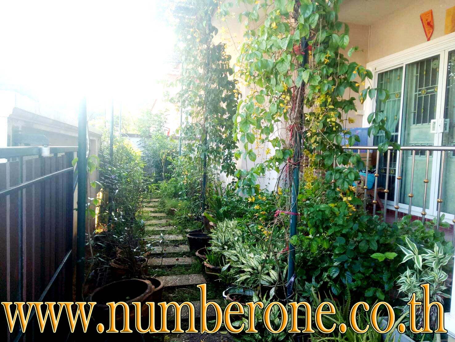 หมู่บ้านบ้านรินทอง ท่าล้อน ถนนท่าล้อน อำเภอพุนพิน จังหวัดสุราษฎร์ธานี รูปที่ 5