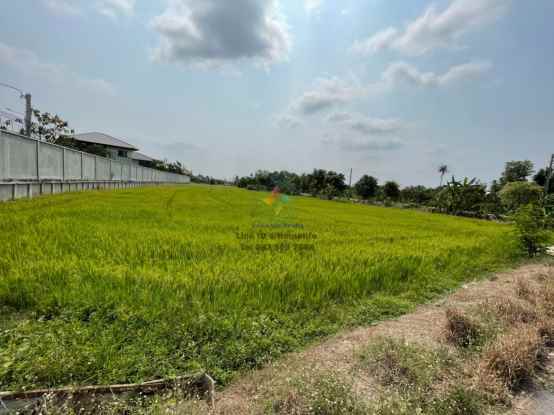 ขาย !!! ที่ดิน พื้นที่  5 ไร่ 3 งาน  ใกล้ถนนราชพฤกษ์ ปากเกร็ด นนทบุรี รูปที่ 1