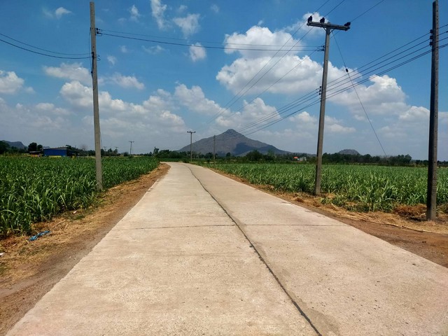 ที่ดินทำบ้านสวนการเกษตรโคกหนองนา อ.ศรีเทพ จ.เพชรบูรณ์ รูปที่ 1