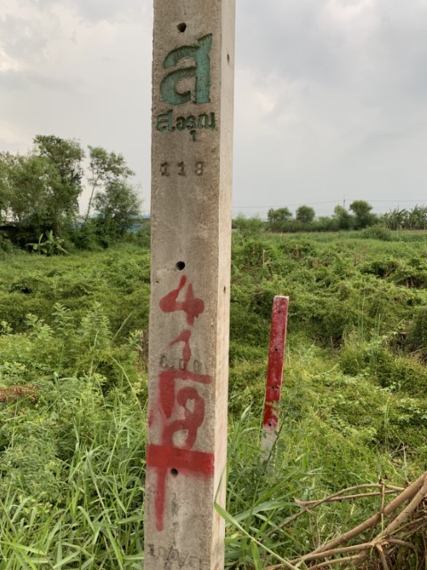 ขายที่ดิน ลำไทร ซอย4 เหมาะปลูกบ้าน ที่สวย เดินทางสะดวก ทำเลดี เป็นส่วนตัว ใกล้แหล่งชุมชน รูปที่ 5