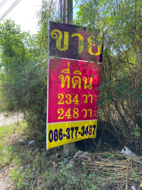 ขายที่ดิน กลางเมืองชลบุรี หลังแมคโคร ชลบุรี พื้นที่เจริญ ถนนคอนกรีต ไฟฟ้า ประปา ท่อระบายน้ำ ครบ รูปที่ 5