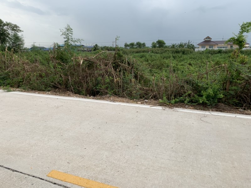 ขายที่ดิน ลำไทร ซอย4 เหมาะปลูกบ้าน ที่สวย เดินทางสะดวก ทำเลดี เป็นส่วนตัว ใกล้แหล่งชุมชน รูปที่ 3
