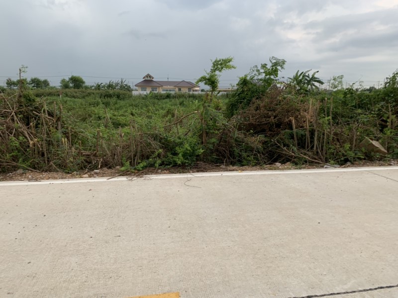 ขายที่ดิน ลำไทร ซอย4 เหมาะปลูกบ้าน ที่สวย เดินทางสะดวก ทำเลดี เป็นส่วนตัว ใกล้แหล่งชุมชน รูปที่ 4