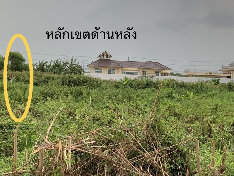 ขายที่ดิน ลำไทร ซอย4 เหมาะปลูกบ้าน ที่สวย เดินทางสะดวก ทำเลดี เป็นส่วนตัว ใกล้แหล่งชุมชน รูปที่ 6