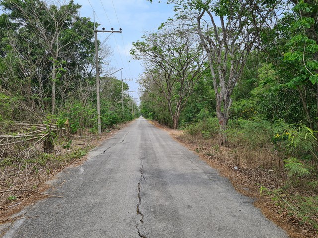 ขายที่ดิน 195 ตรว. คลอง 10รังสิต-นครนายก ติดถนนซอยสถานีตำรวจภูธรหนองเสือและที่ว่าการอำเภอหนองเสือ รูปที่ 1