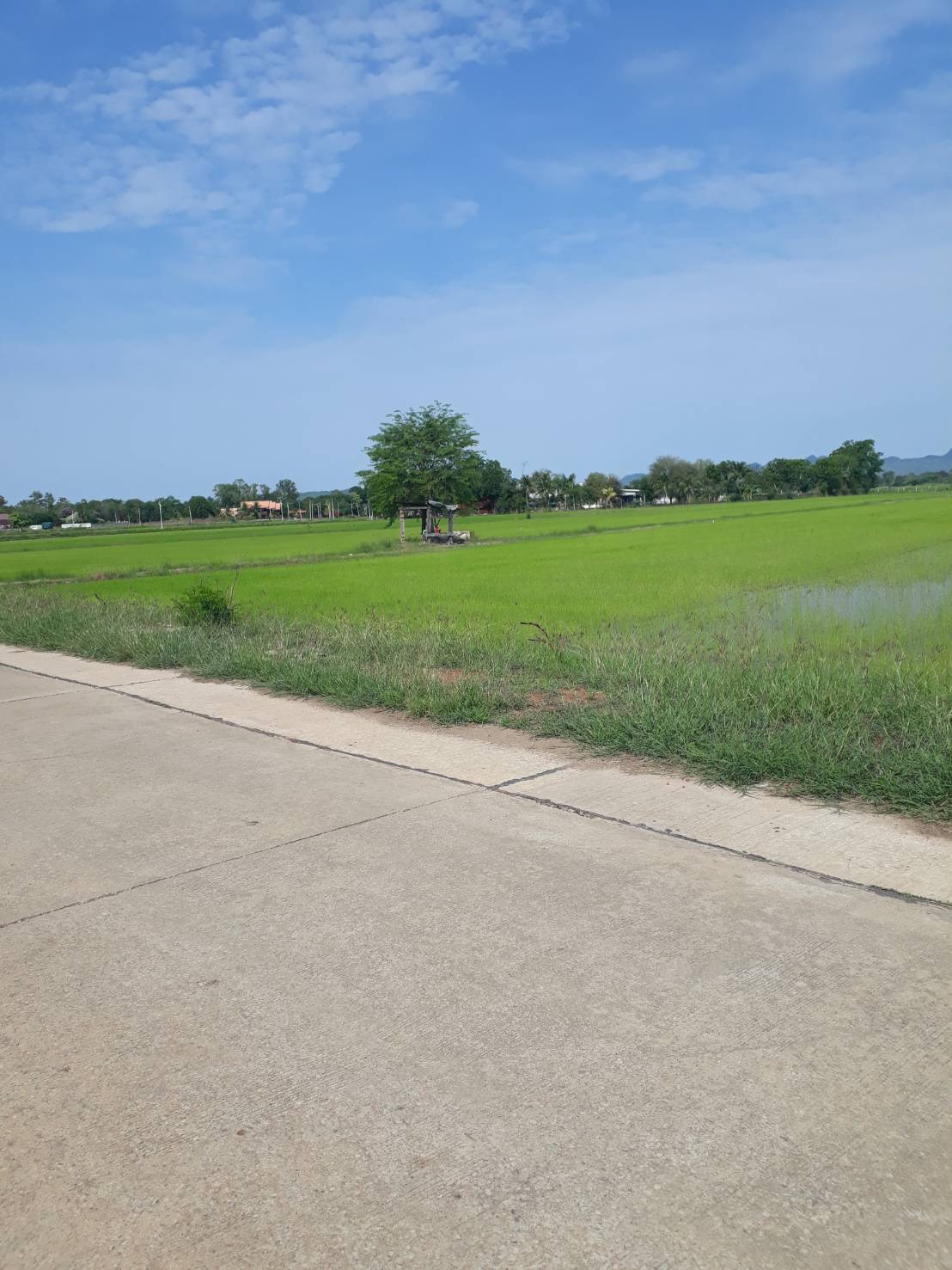 ขายที่ดิน ตำบลเกาะสำโรง อำเภอเมือง กาญจนบุรี ที่ดินสวย ทำเลดี บรรยากาสดี เดินทางสะดวก รูปที่ 6