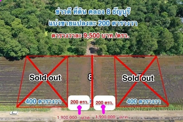 ว้าวววว พิเศษ สุดๆ  special ที่ดินคลอง8 แปลง 8.1 แปลง 8.2 เนื้อที่ 200 ตร.วา  รูปที่ 1