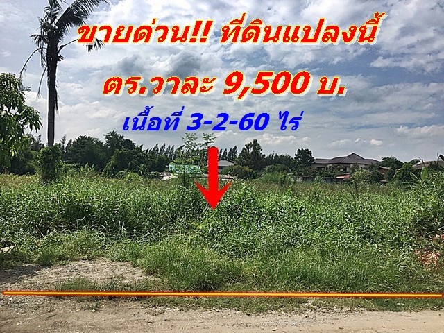 ขายที่ดิน คลองสอง ปทุมธานี ถนนเอราวัณ1 ด่วนราคาพิเศษ วาละ 9500 บ. เหมาะซื้อลงทุน หรือทำโกดัง ทำหอพัก รูปที่ 1