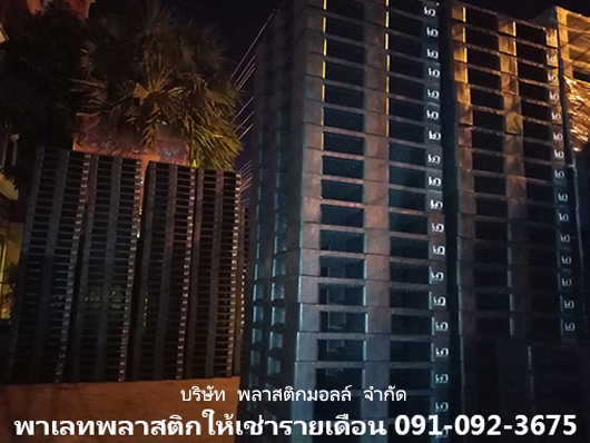 พาเลทเช่ารายเดือน พาเลทให้เช่า พลาสติกมอลล์  รูปที่ 3