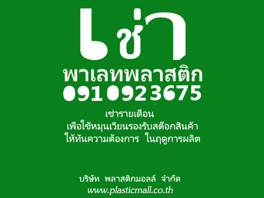 พาเลทพลาสติกให้เช่า Pallet For Rent รายเดือน รูปที่ 5