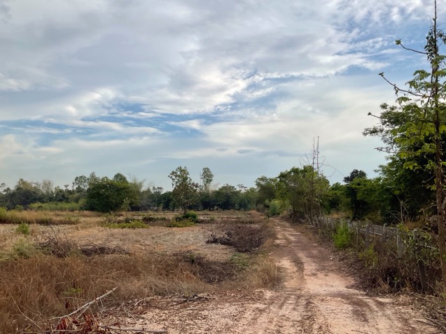 ขายที่ดินพร้อมบ้านเดี่ยว อุบลราชธานี อ.เดชอุดม ต.นาส่วง ถนนเดช ที่ดินติดถนนยางมะตอย น้ำ ไฟฟ้า อินเตอร์เน็ตครบ รูปที่ 5
