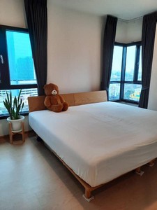คอนโดเดอะทรี สุขุมวิท 71-เอกมัย2 Bedrooms  300 เมตรจาก Airport Link รามคำแหง  รูปที่ 1