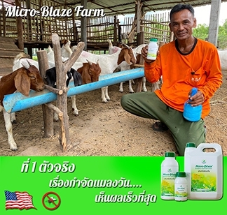 ไมโคร-เบลส จุลินทรีย์กำจัดกลิ่นเหม็น Micro-Blaze Emergency Liquid Spill Control รูปที่ 5