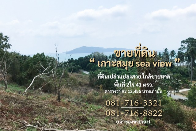 ขายที่ดินซีวิว(sea view)เกาะสมุย ซีวิว(sea view) เนินเขา ใกล้ชายหาด  รูปที่ 1