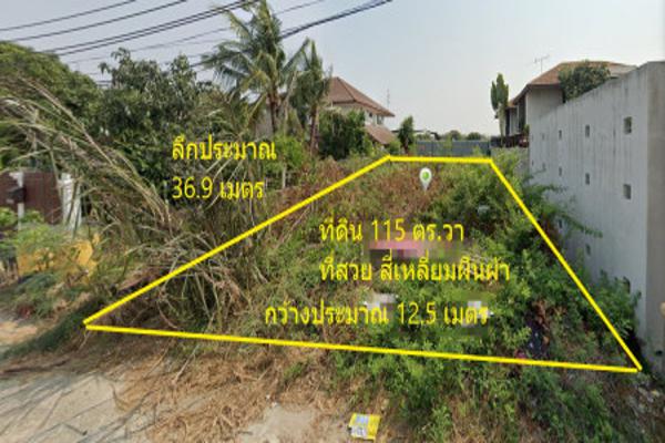 ขาย ที่ดิน  ที่ดิน บางพลับ 12-1 ถ.บ้านวังข่า วัดสิงห์ทอง 1 งาน 15 ตร.วา .. รูปที่ 2
