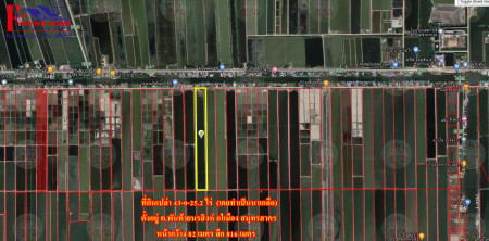 ขาย ที่ดิน ใกล้แหล่งชุมชน  ที่ดินสมุทรสาคร 43 ไร่ 0 งาน 25.2 ตร.วา เคยทำเป็นนาเกลือ รูปที่ 1