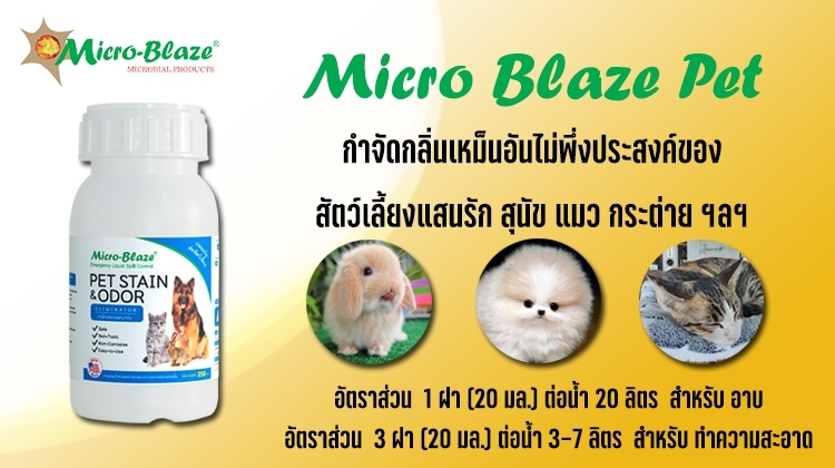 Micro-Blaze PET ไมโคร-เบลส จุลินทรีย์สูตรกำจัดกลิ่นเหม็นอันไม่พึ่งประสงค์ของสัตว์เลี้ยงแสนรัก สุนัข แมว รูปที่ 4