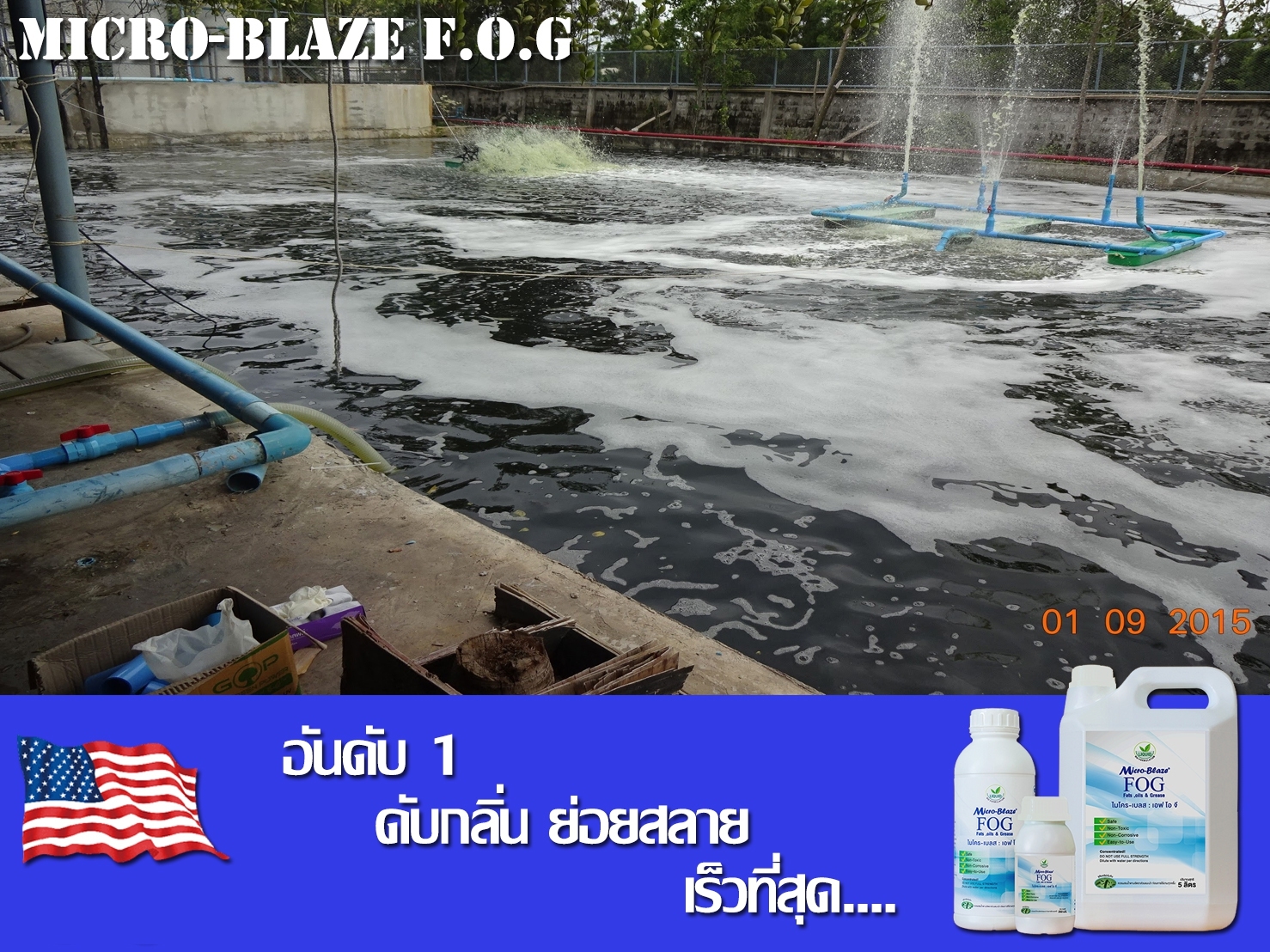 Micro-Blaze F.O.G เป็นจุลินทรีย์ธรรมชาติ ลดปริมาณแมลงสาบในบ่อเกรอะ รูปที่ 6