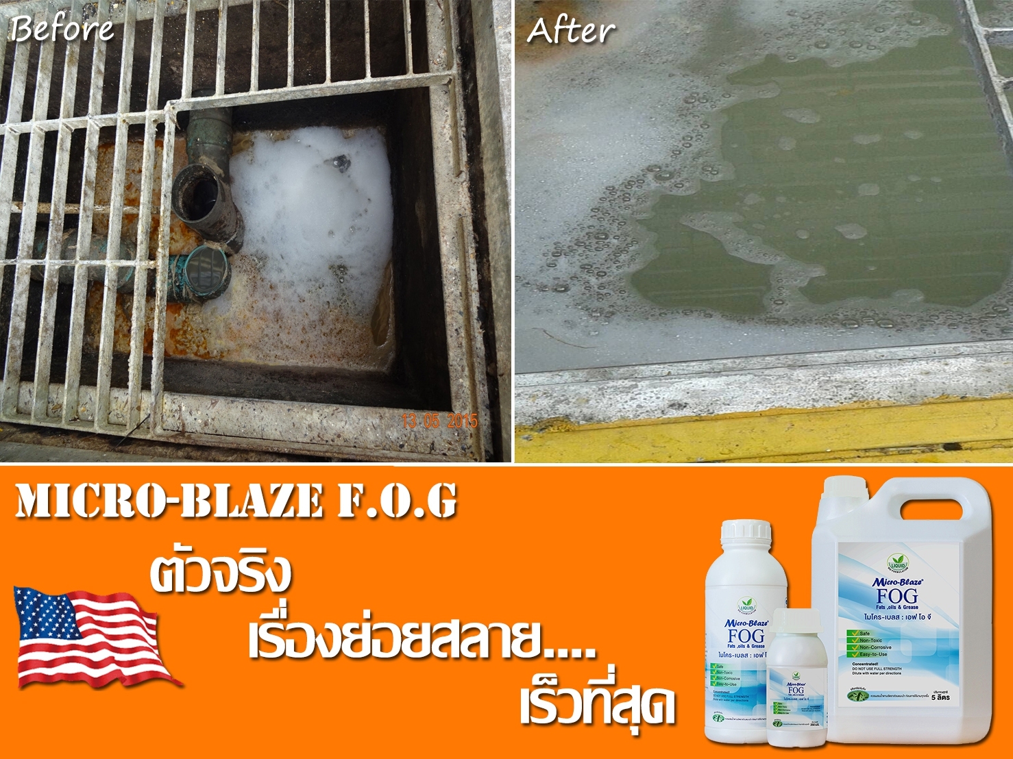 Micro-Blaze F.O.G เป็นจุลินทรีย์ธรรมชาติ ลดปริมาณแมลงสาบในบ่อเกรอะ รูปที่ 5
