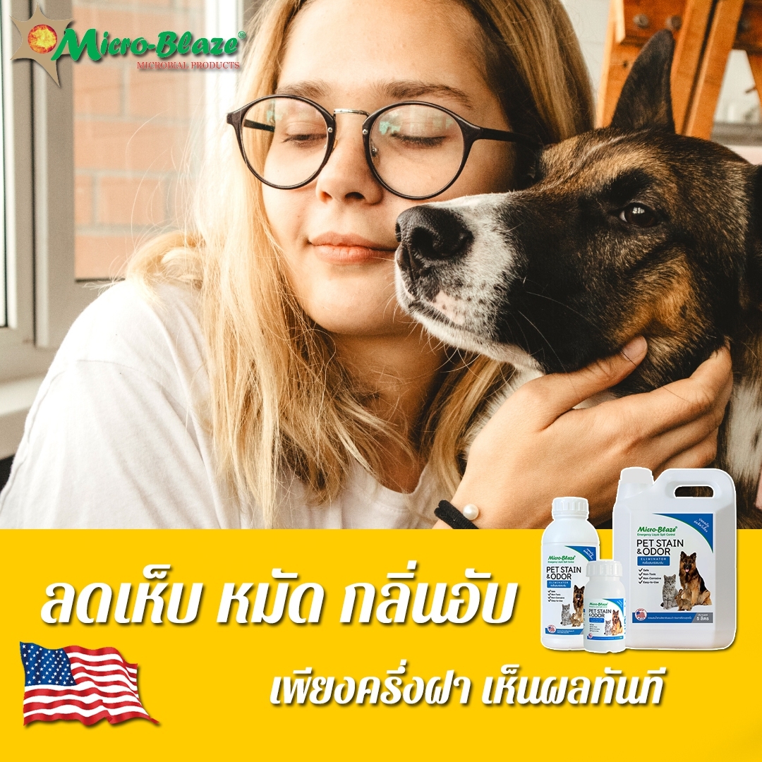 Micro-Blaze PET ไมโคร-เบลส จุลินทรีย์สูตรกำจัดกลิ่นเหม็นอันไม่พึ่งประสงค์ของสัตว์เลี้ยงแสนรัก สุนัข แมว รูปที่ 6
