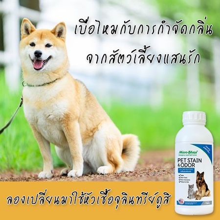 Micro-Blaze PET ไมโคร-เบลส จุลินทรีย์สูตรกำจัดกลิ่นเหม็นอันไม่พึ่งประสงค์ของสัตว์เลี้ยงแสนรัก สุนัข แมว รูปที่ 5