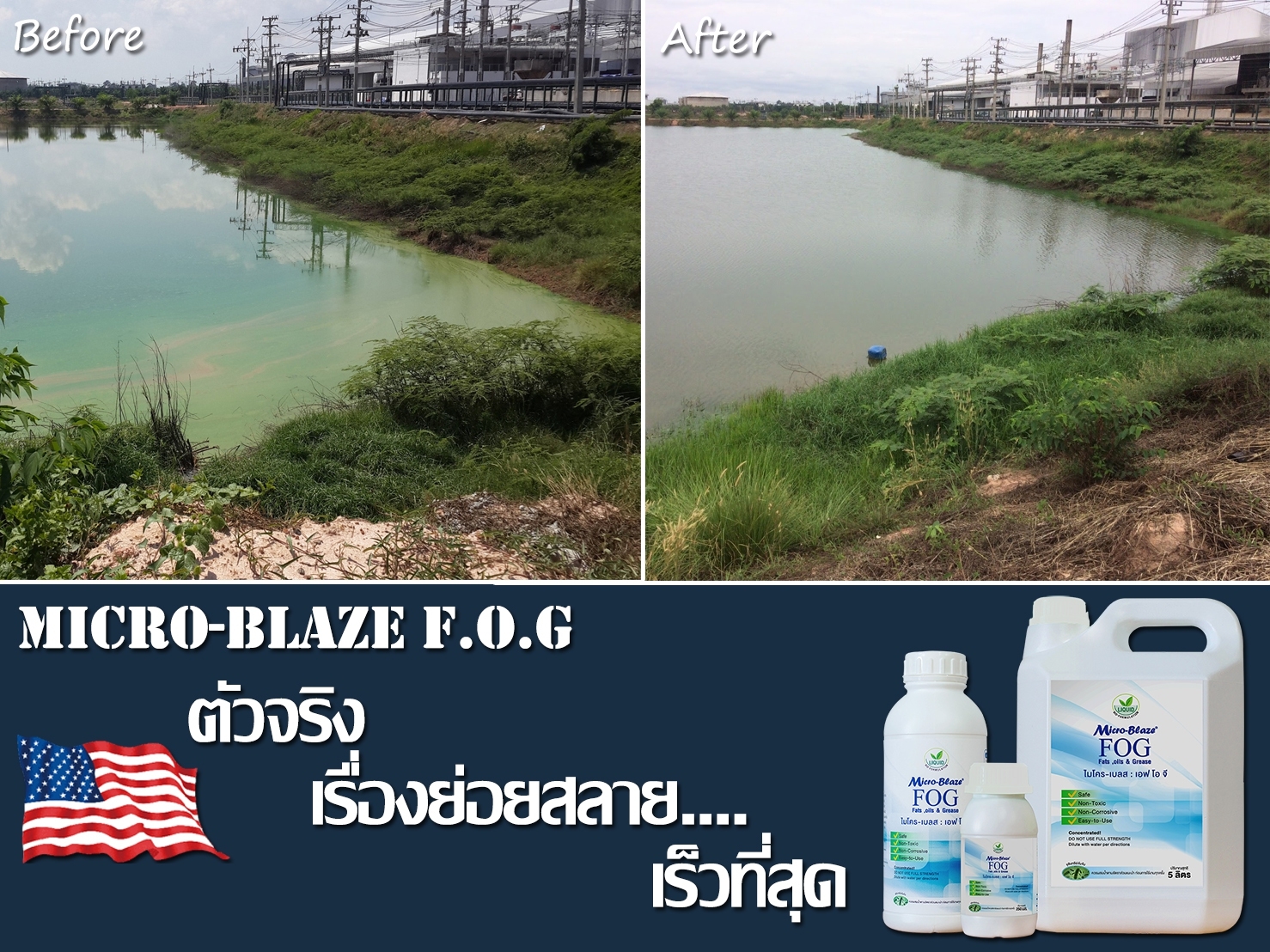 Micro-Blaze F.O.G เป็นจุลินทรีย์ธรรมชาติ ลดปริมาณแมลงสาบในบ่อเกรอะ รูปที่ 4