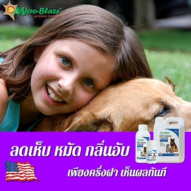 Micro-Blaze PET ไมโคร-เบลส จุลินทรีย์สูตรกำจัดกลิ่นเหม็นอันไม่พึ่งประสงค์ของสัตว์เลี้ยงแสนรัก สุนัข แมว รูปที่ 7