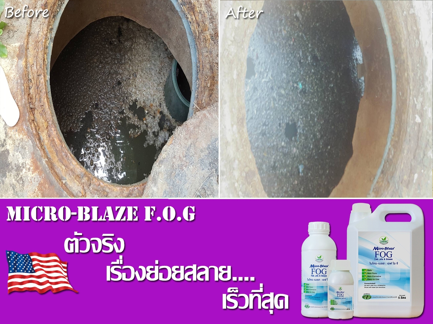 Micro-Blaze F.O.G เป็นจุลินทรีย์ธรรมชาติ ลดปริมาณแมลงสาบในบ่อเกรอะ รูปที่ 7