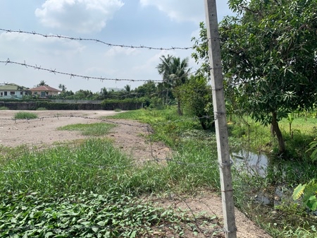 ขาย  ที่ดิน ที่ดินใกล้คลองอ้อมนนท์ 1ไร่ 1งาน  บางกรวย นนทบุรี บรรยากาศสงบ ปลอดภัย รูปที่ 1