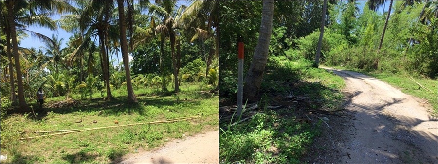 ขายที่ดิน 1 ไร่ ใกล้ทะเลแม่รำพึง อ.บางสะพาน จ. ประจวบคีรีขันธ์ รูปที่ 4