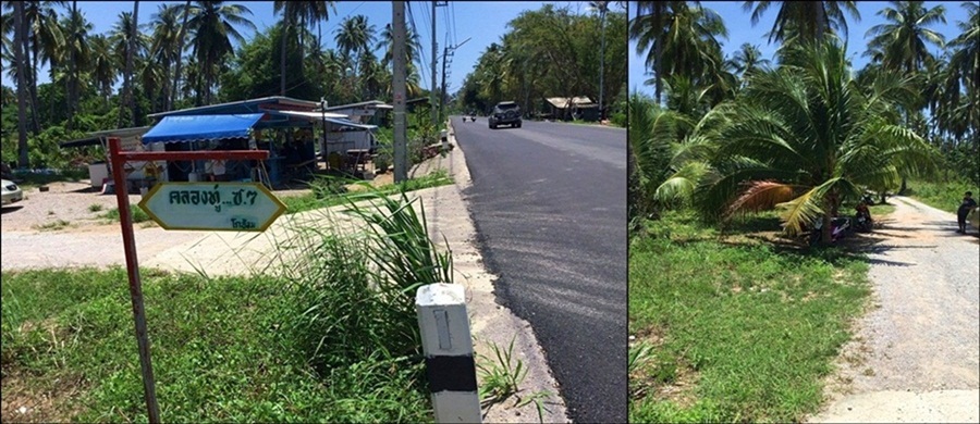 ขายที่ดิน 1 ไร่ ใกล้ทะเลแม่รำพึง อ.บางสะพาน จ. ประจวบคีรีขันธ์ รูปที่ 5