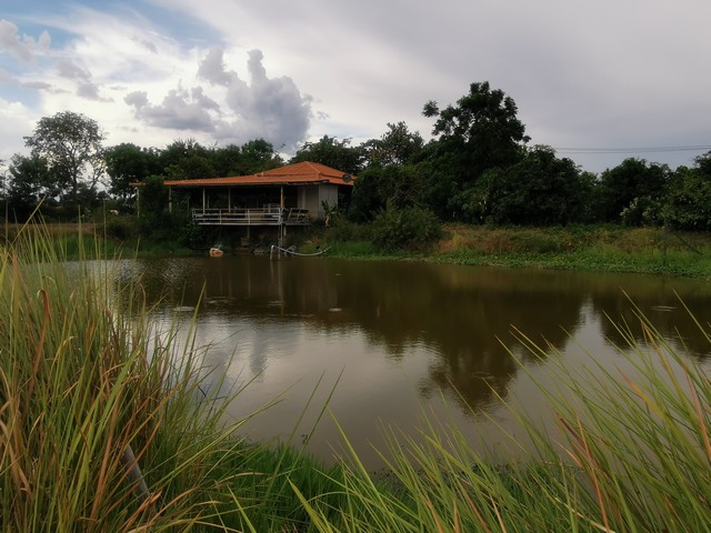 ขายที่ดินแปลงสวยสไตล์โคกหนองนา ต.ดอนทอง จ.พิษณุโลก เนื้อที่ 5 ไร่ 1 งาน 52 ตรว.  รูปที่ 1