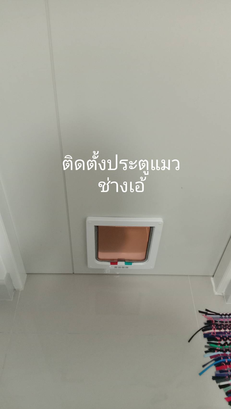 ประตูแมว รับติดตั้งประตูแมว 0825222167ช่างเอ้ รูปที่ 2