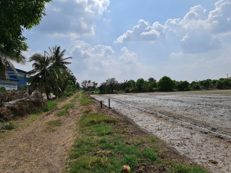 ขายที่ดินทำเลทอง บ้านคลองขวาง อ.ไทรน้อย นนทบุรี น้ำ-ไฟ พร้อม ทำเลดี เดินทางสะดวก รูปที่ 3