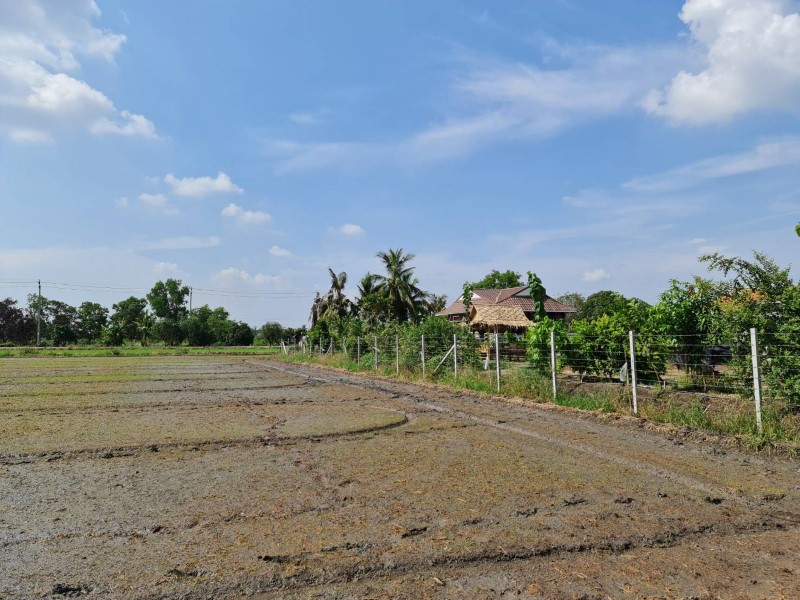 ขายที่ดินทำเลทอง บ้านคลองขวาง อ.ไทรน้อย นนทบุรี น้ำ-ไฟ พร้อม ทำเลดี เดินทางสะดวก รูปที่ 4