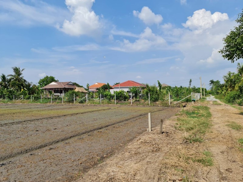 ขายที่ดินทำเลทอง บ้านคลองขวาง อ.ไทรน้อย นนทบุรี น้ำ-ไฟ พร้อม ทำเลดี เดินทางสะดวก รูปที่ 5