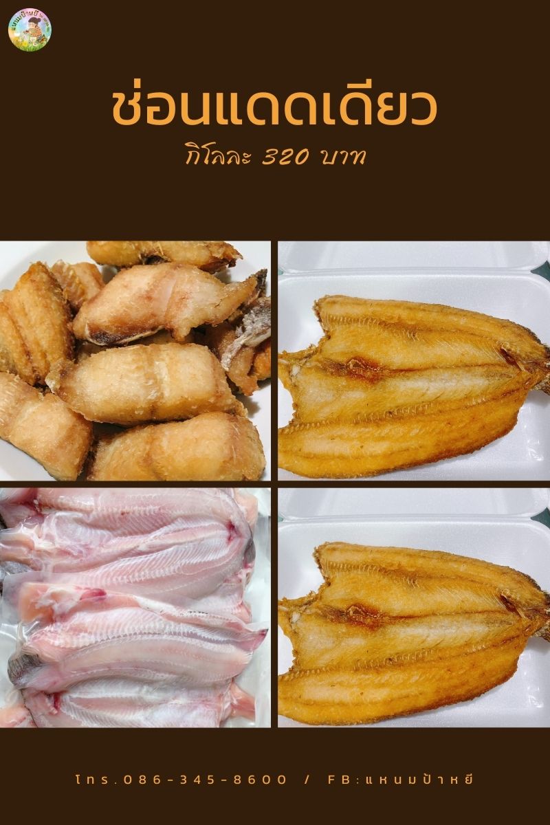 สนใจ ปลาช่อนแดดเดียว สั่งได้ค่ะอร่อยต้องลอง รูปที่ 1