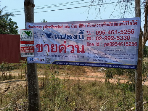 ขายที่ดินเปล่า 2แปลง 16-1-24 ไร่ ปราณบุรี จ.ประจวบคีรีขันต์ รูปที่ 1