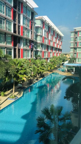 ให้เช่า ห้องมุม เห็นทุกวิวในโครงการ CC Condominium 1 ใกล้ซีเจ เอ็กซ์เพรส สาขา ไร่วนาสินธ์ รูปที่ 1