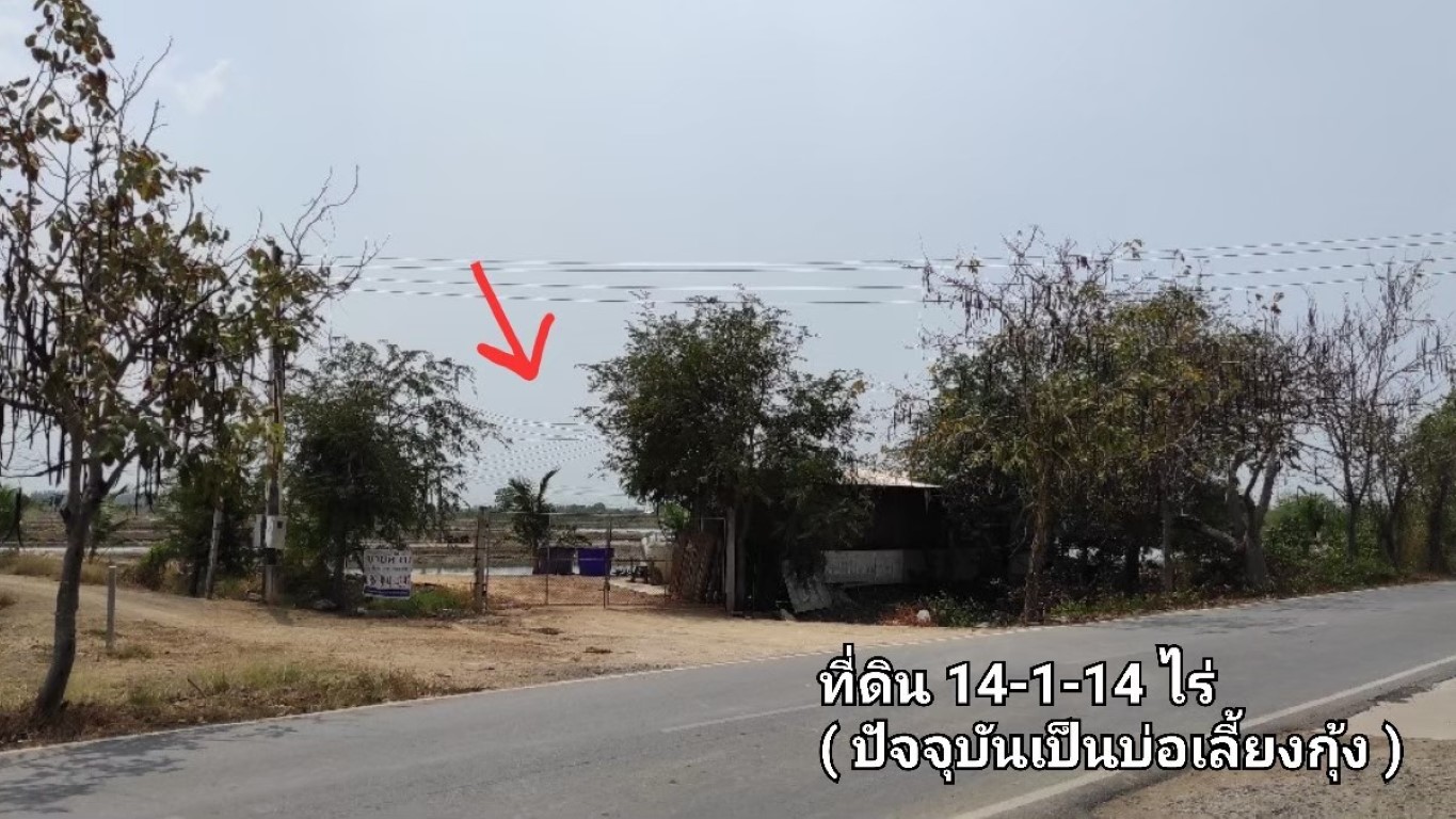 ขายที่ดิน อำเภอเมือง ฉะเชิงเทรา 14-1-14 ไร่ ใกล้วัดหลวงพ่อโสธร ใกล้ถนนสิริโสธร โรบินสันฉะเชิงเทรา รูปที่ 1